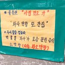 화사막창 | 다동황소막창 예약방법 평일 저녁 웨이팅 서울 을지로 화사막창 솔직 후기