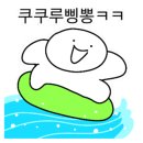 성지애견 이미지