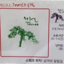 원주굽이길 2코스 700년 노송길 | 원주굽이길(제2코스) : 700년 노송길
