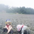 장양어촌마을 펜션 이미지