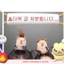 수원동양복싱 | [포토덤프] 1주차 포토덤프 챌린지💬