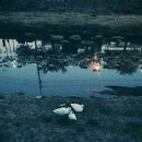 거니는집 이미지