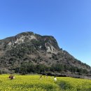 피자헛서귀포점 | 제주도 나폴리 피자 맛집 산방산 근처 가볼만한 곳