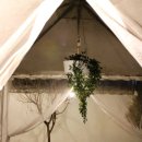 소솜민박 이미지