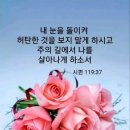 경건