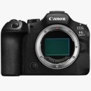 캐논 EOS R6 Mark III 바디 사용 후기 - 향상된 안정성, 다재다능한 색감