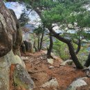 남산119안전센터 | 역사와 시간이 머문 경주 남산 금오봉 최단코스 탐방 후기