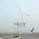 전진교통(주)