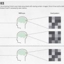 뇌 영상 해독(brain decoding)을 통한 독심술? 이미지