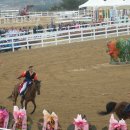 상주국제승마장 이미지