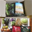 푸른솔농장4 이미지