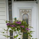 아이조아라 이미지