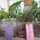 능주지역아동센터 이미지