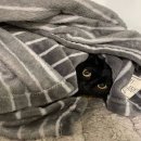 기장동물병원 이미지