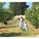 승재 농장 이미지