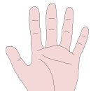 다섯손가락 이미지