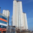 포항시남구29 네이버블로그