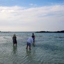 동이네펜션민박 이미지