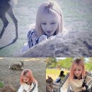 유빅스 이미지