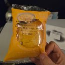 호텔 오슬로 | 낭만여행, 트롬쇠로 가는 길 - 폴란드 항공 후기 / 오슬로 공항 가르데르모엔 호텔 / SAS 국내선 후기