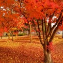 응암공원 이미지