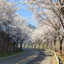 운문가는길 이미지