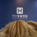 혜민동물병원 이미지