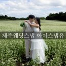 승모농장 | [제주웨딩스냅]아이스냅유 촬영후기_보정본 수령, 10월 웨딩촬영