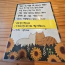 [내돈내산] 전주 전북대 고양이 있는 룸카페 추천 &#39;모모의 다락방&#39; 솔직 후기 (할인쿠폰)