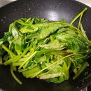 모닝글로리 이미지