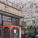 월영동109 | 카페 : [마산, 가포동] '브라운핸즈 마산점'