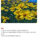 한농종묘사 이미지