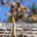 (주)신도컴퓨터 | [아무튼, 주말] &#39;명당 정원&#39; 청리움, &#39;명상 정원&#39; 미술관… 생각의 숲으로 가는 지름길을 찾았다