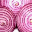 양파모텔 이미지