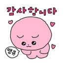 민락동 &lt;온니유왁싱&gt; : 눈썹+미간 왁싱 후기