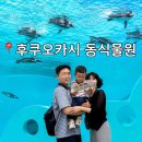 일본 후쿠오카 여행 아이와 후쿠오카 동식물원 입장료 펭귄 사자 하마 관람 후기