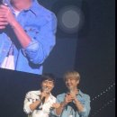 교뎅 이미지