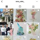 세라케이크 sera cake