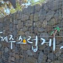 노은로2 이미지