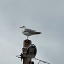 제주 8일차 함덕 해수욕장 이미지