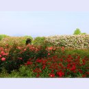 곡성-046 이미지