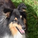 장현 동물병원 이미지