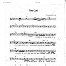 Back street Boy / The call 이미지