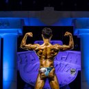 마스터 와이짐 이미지