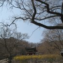 남문5길 이미지