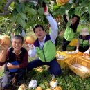 대훈농장 이미지