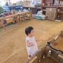 중한농장 | 부천 돌지난 아기랑 데이트 🐰 부천 나눔농장 방문 후기 🌾