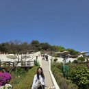 [2025.05 2박3일 태안여행] 애견동반 3일차 ; 무계획 P의 여행