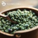 청태농장 이미지