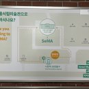 시립미술관 서소문본관 | 서울시립미술관 서소문 본관 전시 관람 후기 + 덕수궁 돌담길 단풍